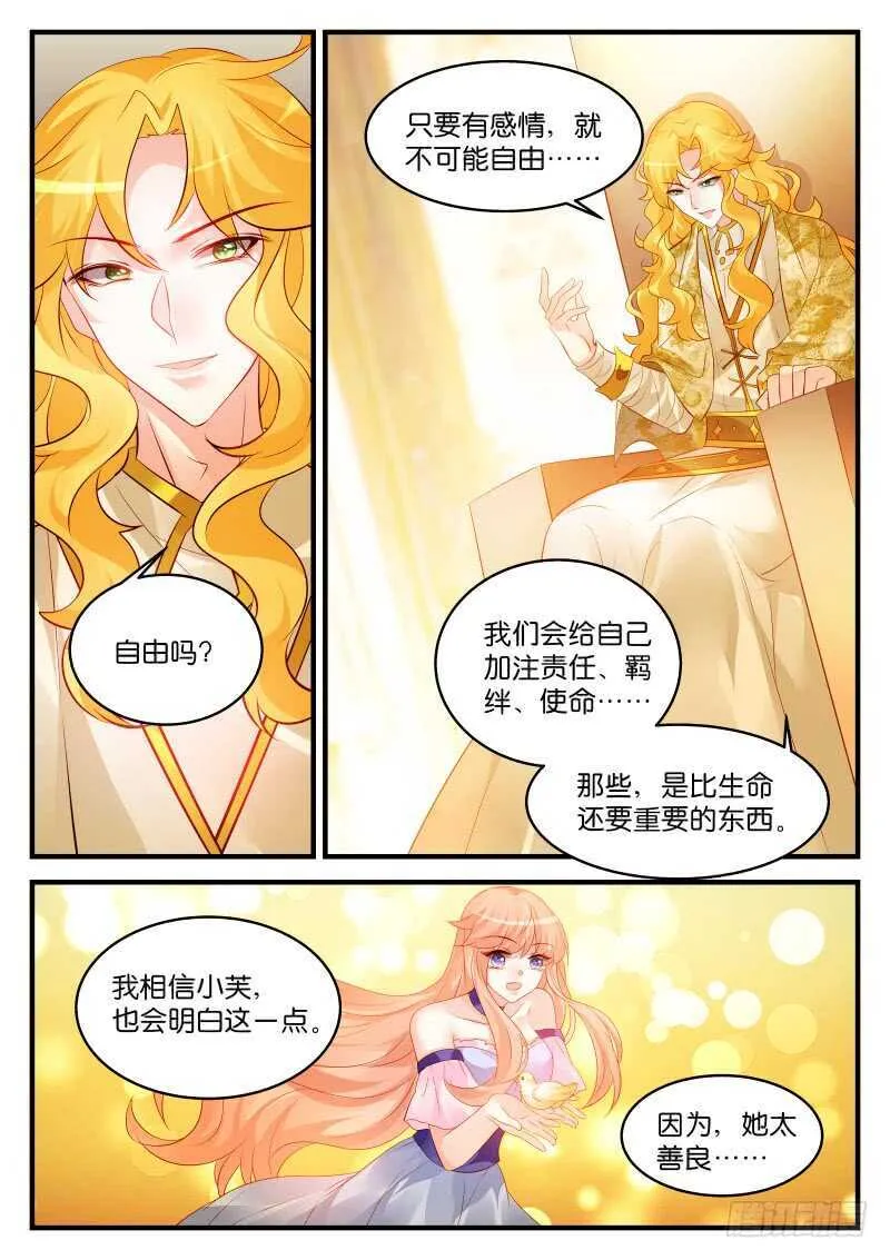 206 第8页