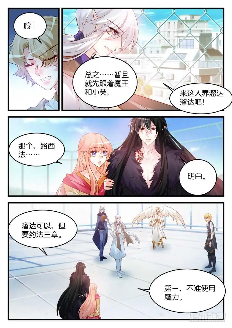 216 第8页