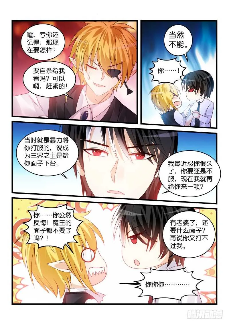 223 第9页