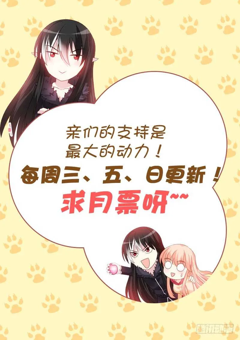 223 第11页