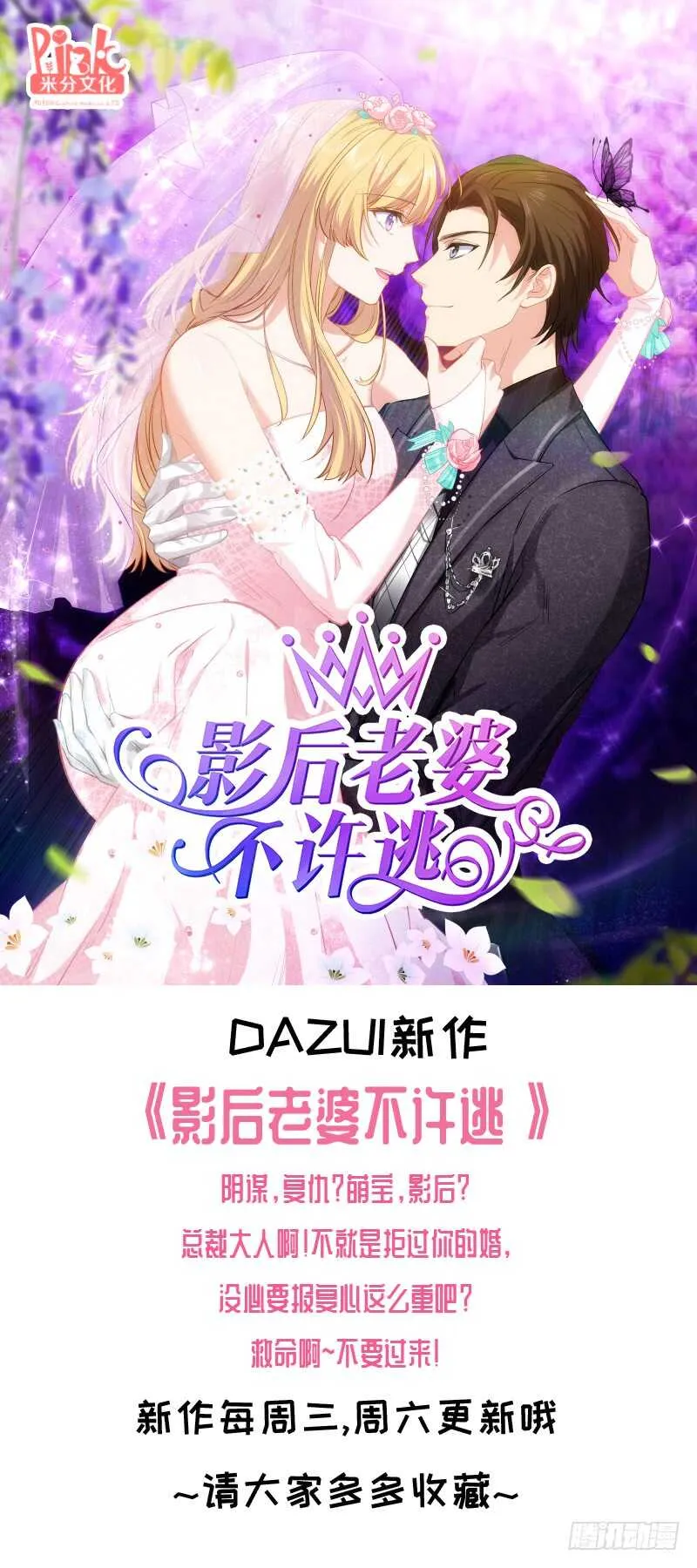 223 第12页