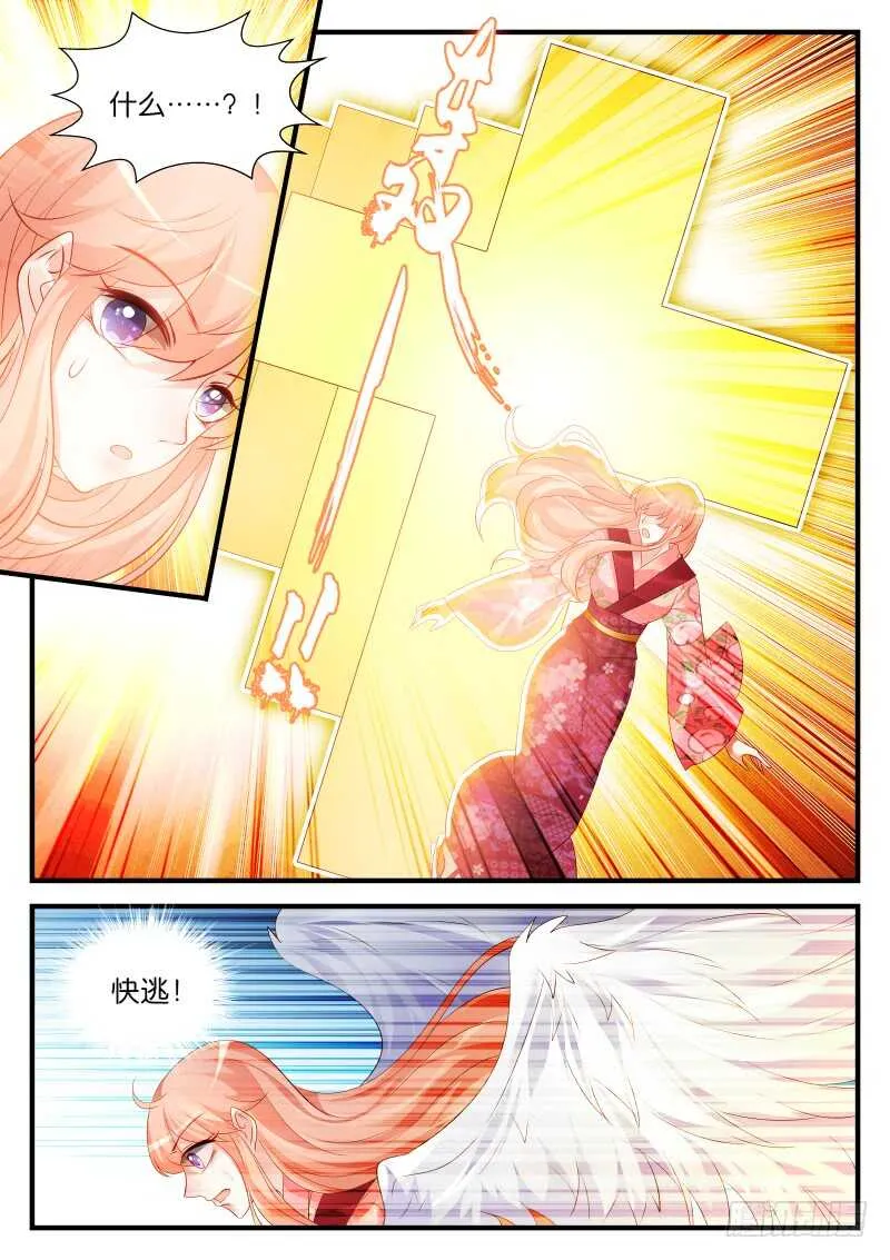 236 第4页