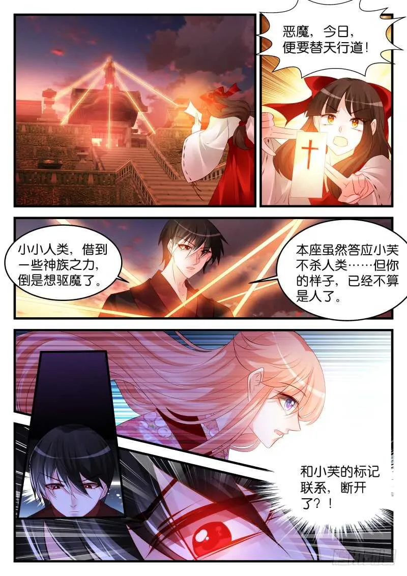 236 第10页