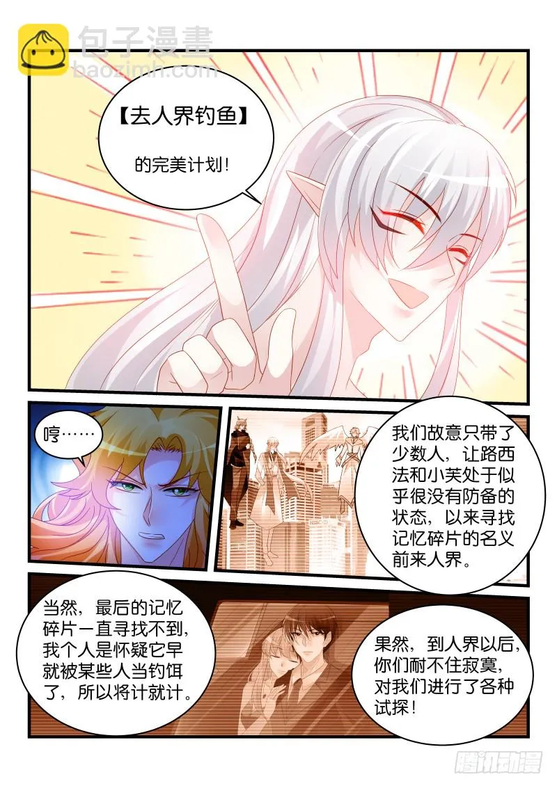 243 第7页