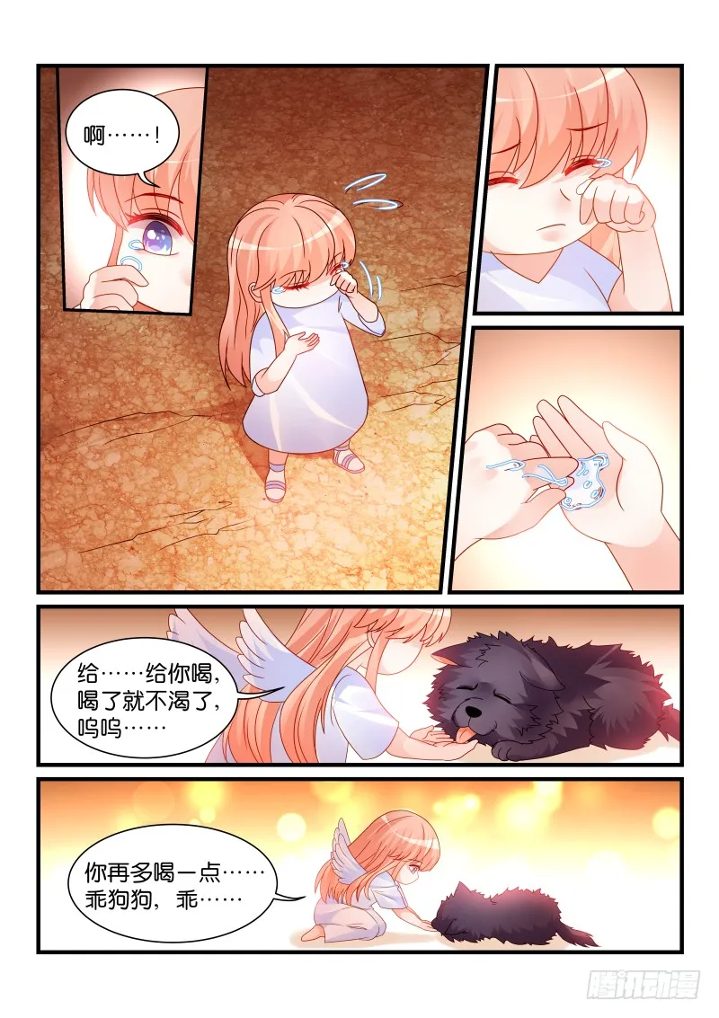 251 第7页