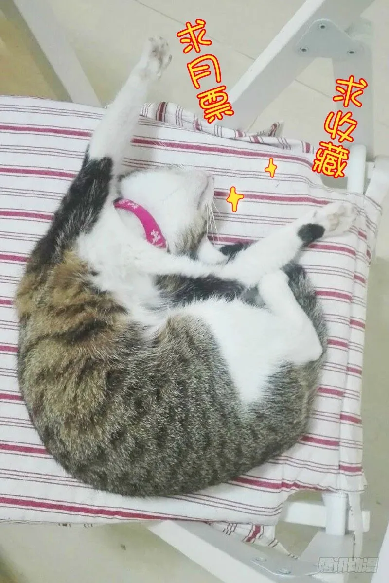 38女儿家的事（中） 第11页