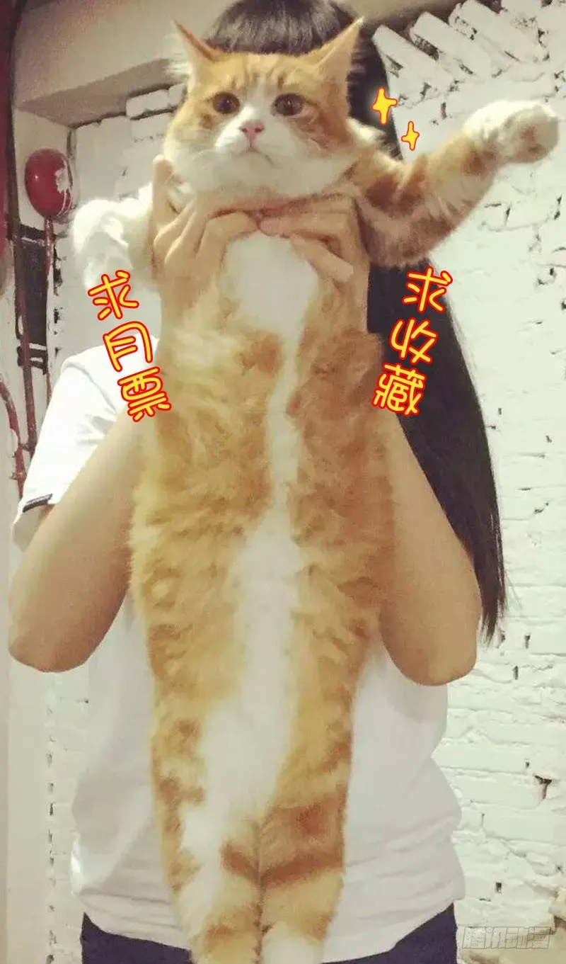 42木兰的新烦恼（下） 第14页