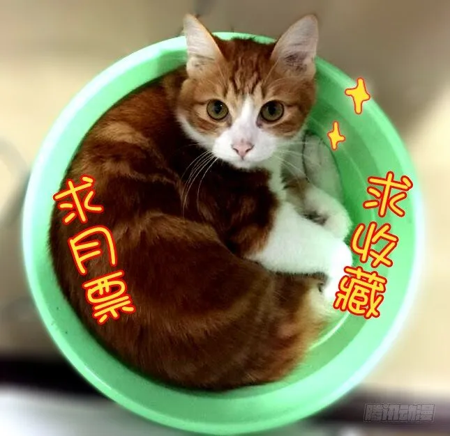 44第一位火伴（二） 第14页