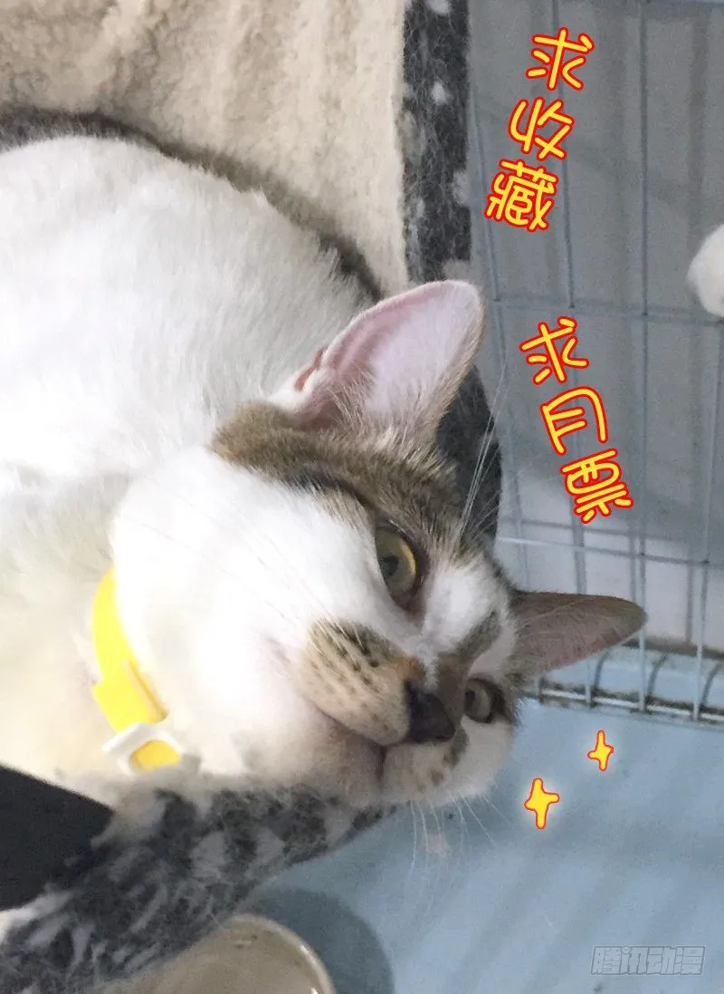 46第一位火伴（四） 第14页