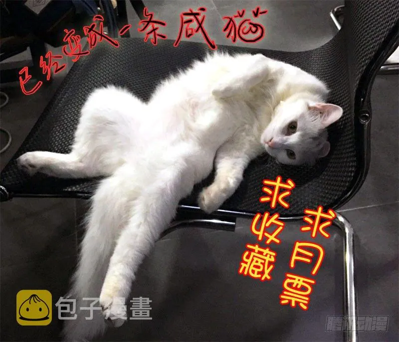 48第一位火伴（六） 第13页