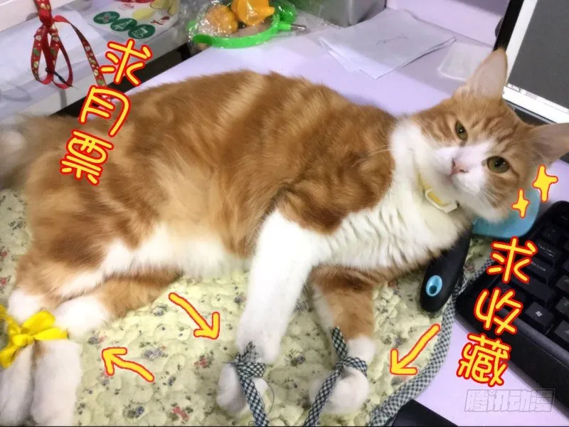 49我的保护神（上） 第10页