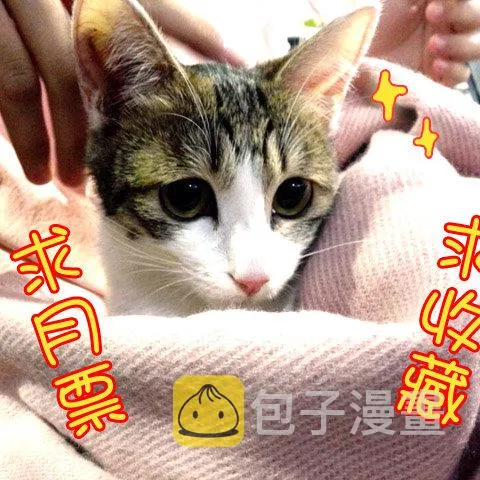 51阿单家的少年（上） 第10页