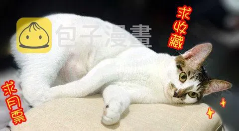 53奇怪的少年（上） 第13页