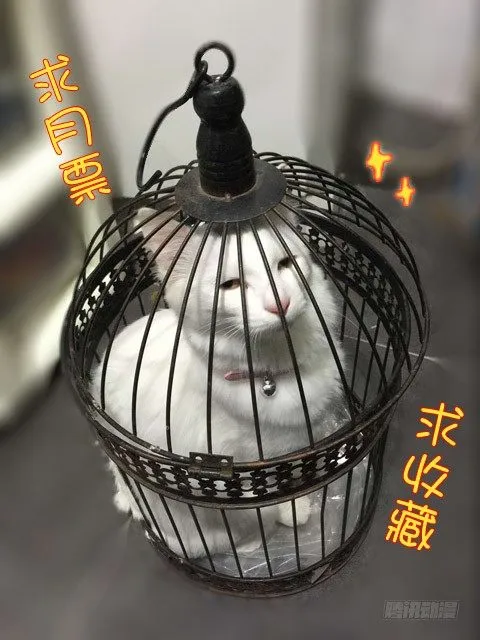 57贺光的第一次（三） 第11页