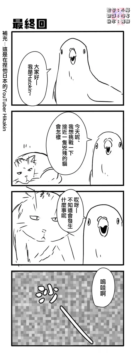鸽子 第31页