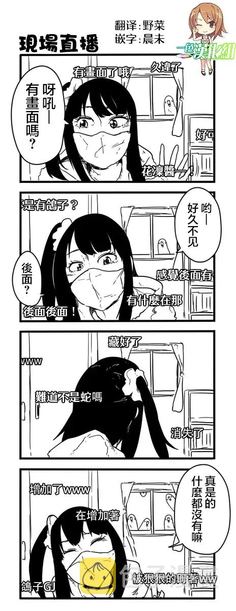 鸽子 第47页
