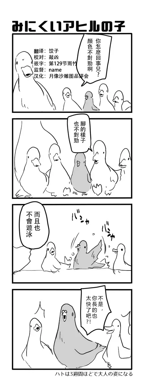 鸽子 第75页