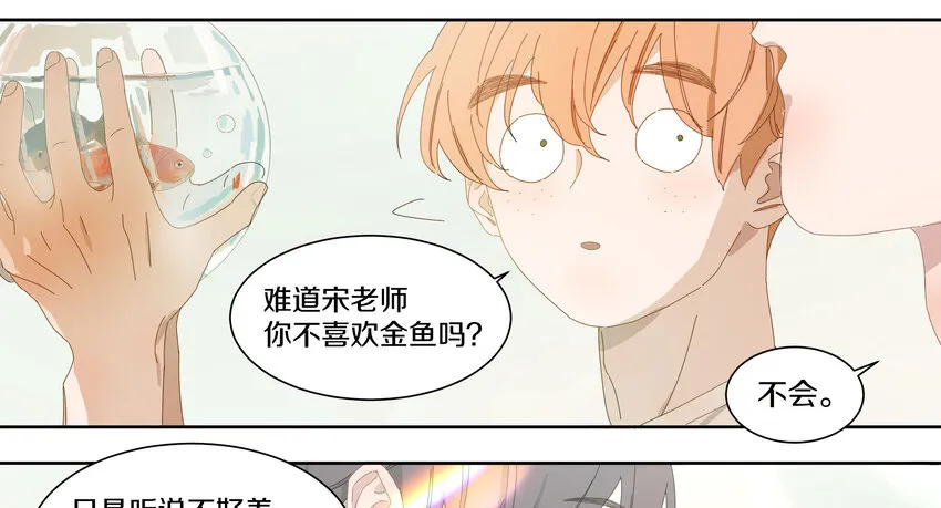 005 两条金鱼 第33页