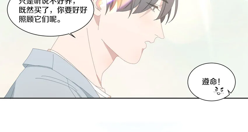 005 两条金鱼 第34页