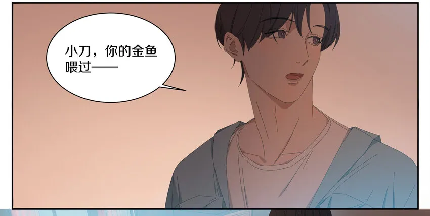 005 两条金鱼 第41页