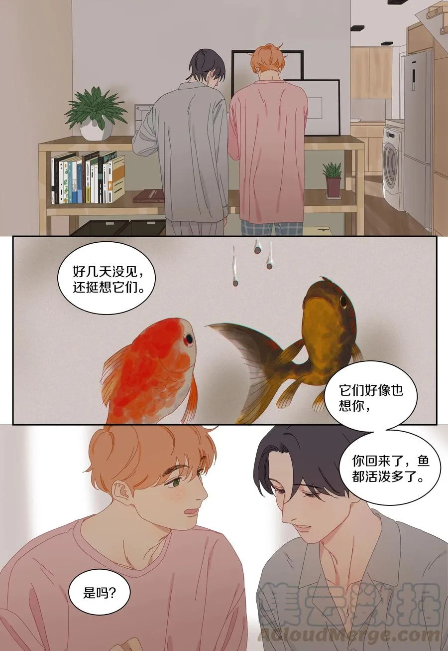 066 顺序 第3页