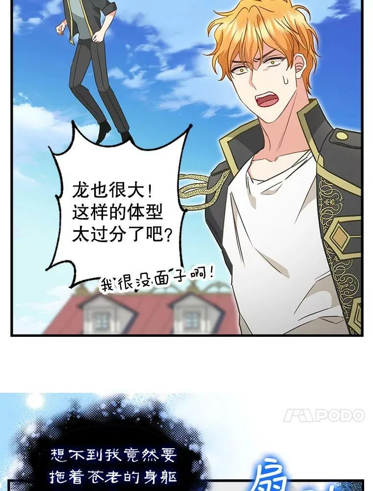 113.龙的到来 第62页