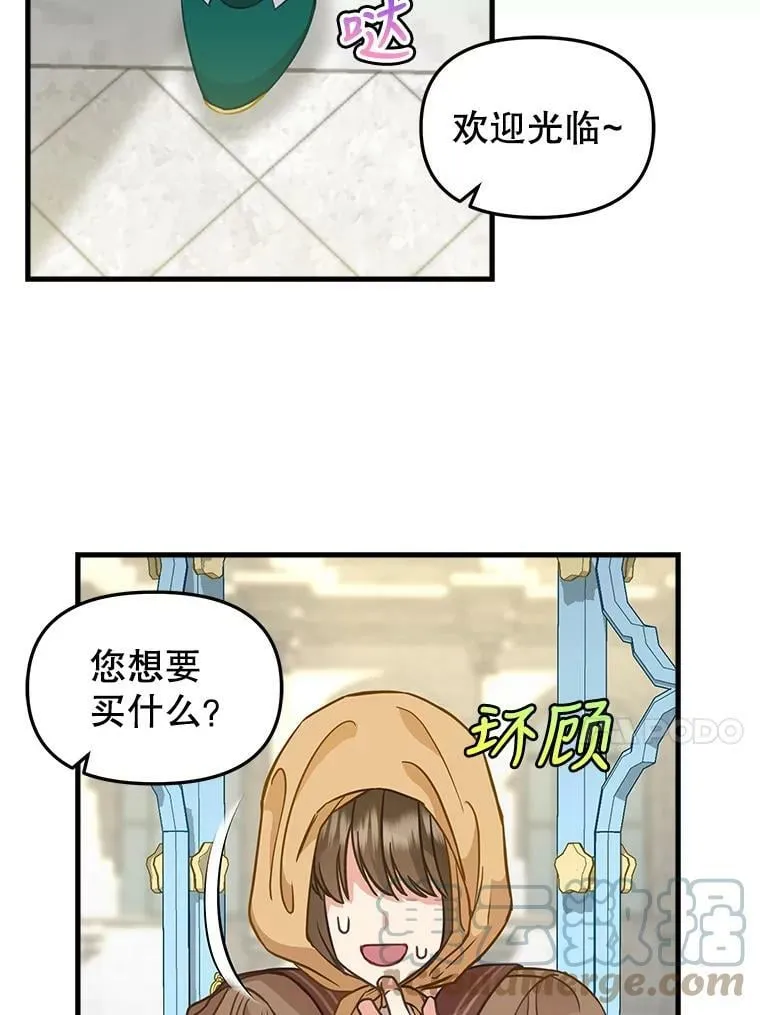 83.购买材料 第46页