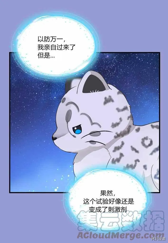 第75话 第37页