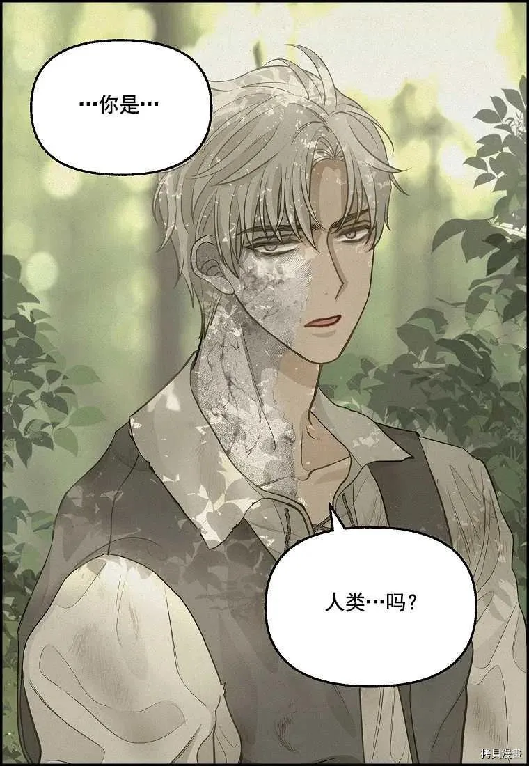 第65话 第60页