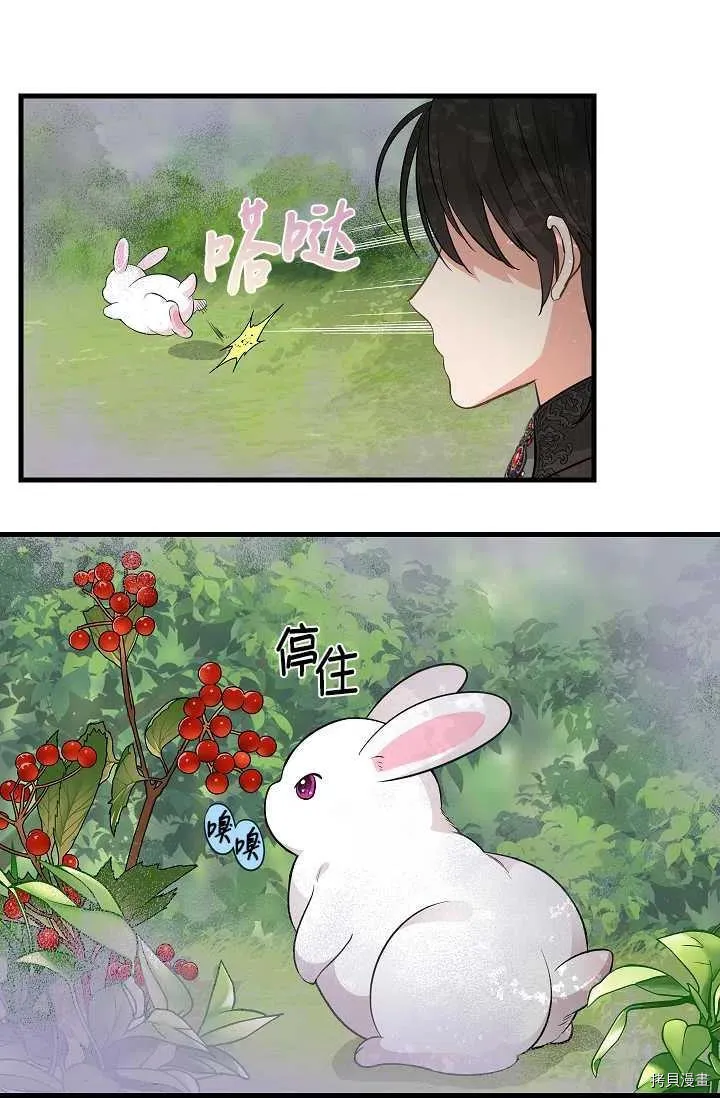 第63话 第41页