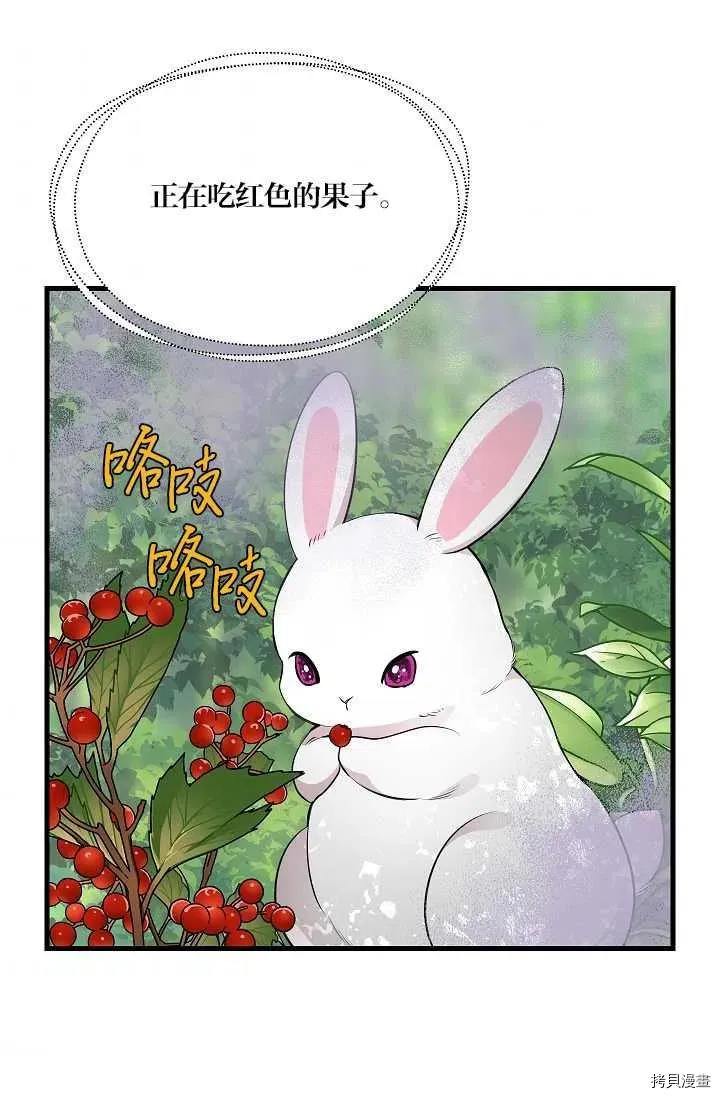 第63话 第42页