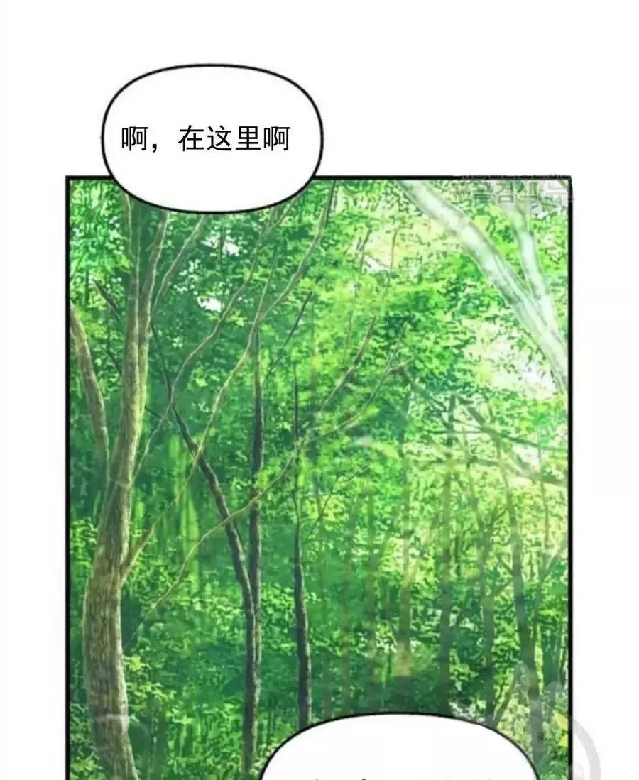 第62话 第51页