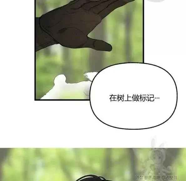 第47话 第77页