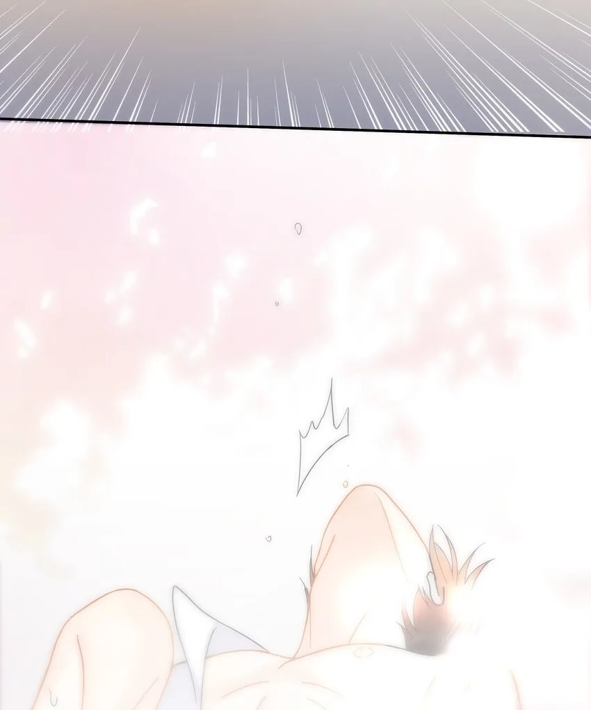 008 舞 第42页