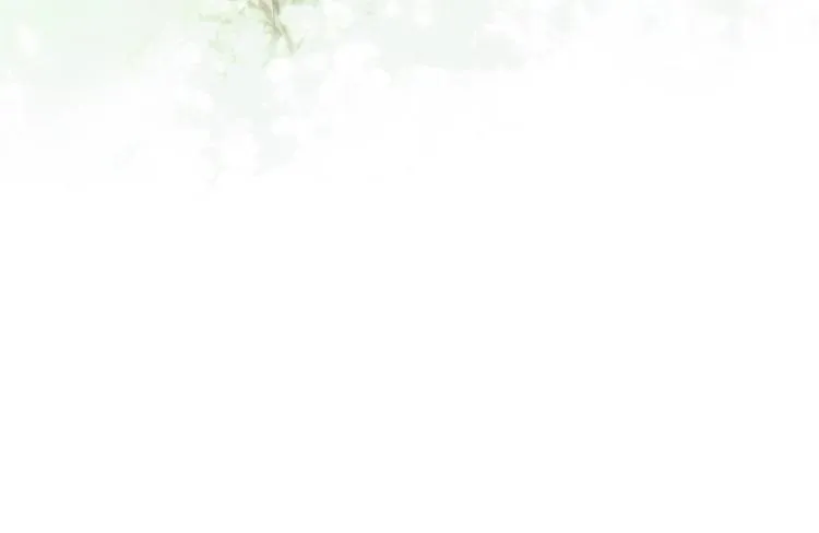 第11话 和主角们一起冒险啦！ 第92页