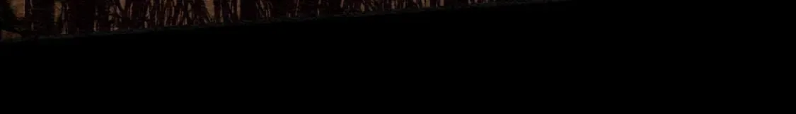 第145话 温柔守护 第100页