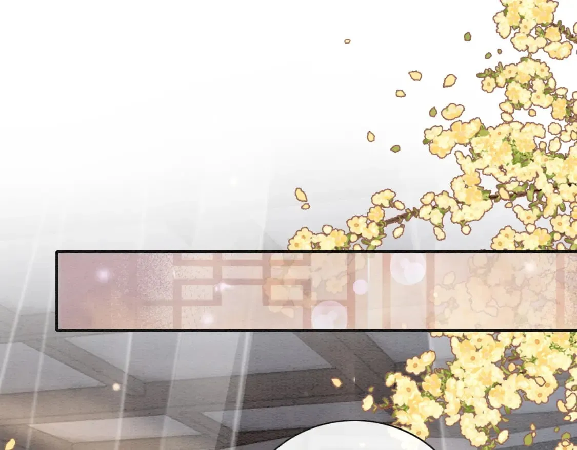 特典04 妙妙改嫁？ 第41页