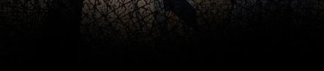 特典08 恢复记忆 第132页