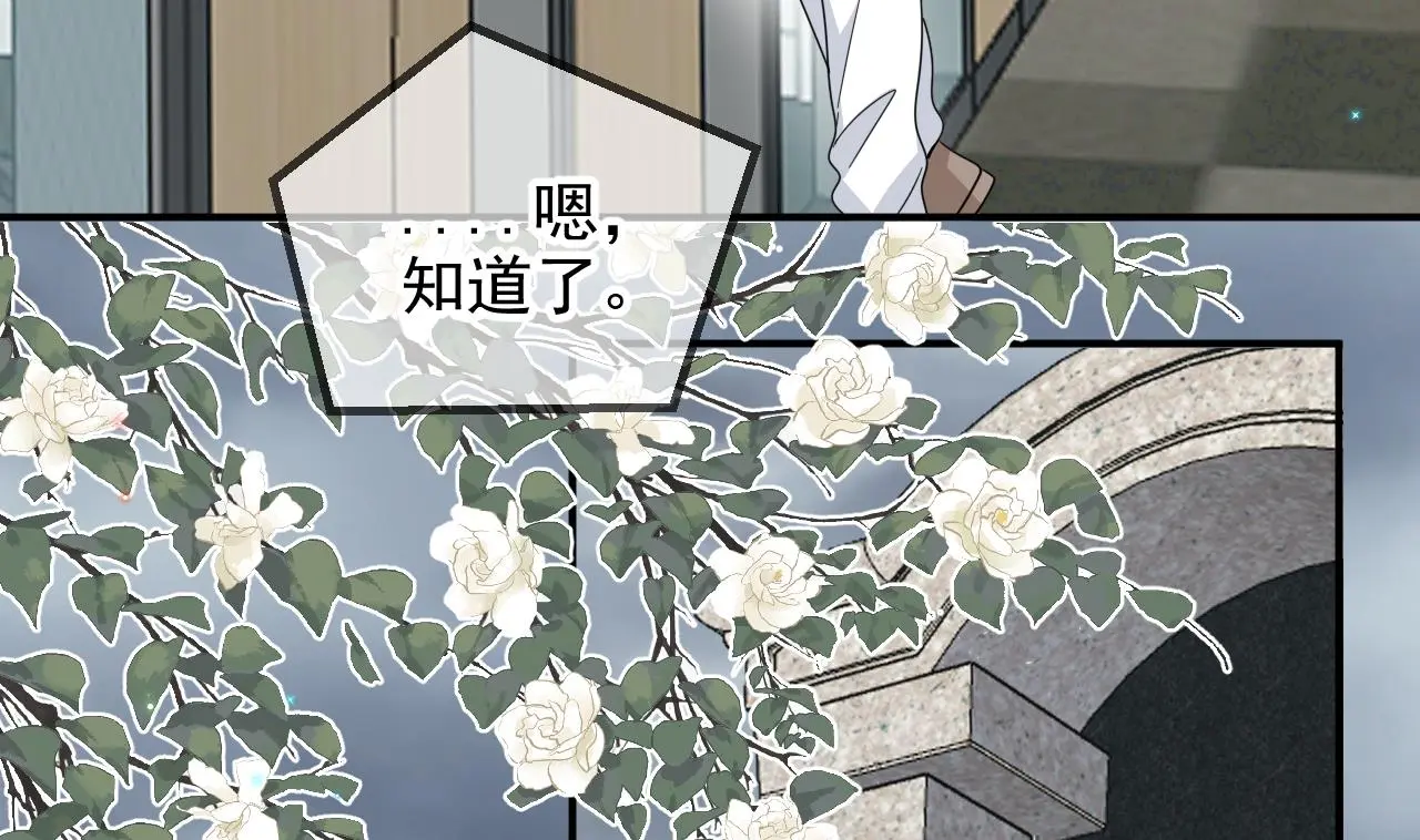 第95话 公开关系 第55页