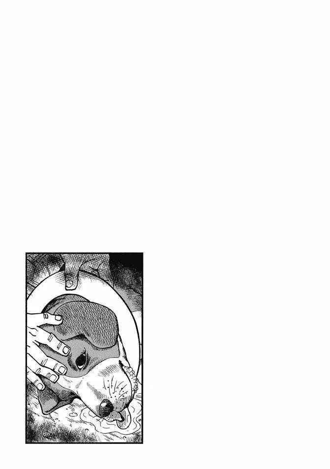 第13卷 第145页