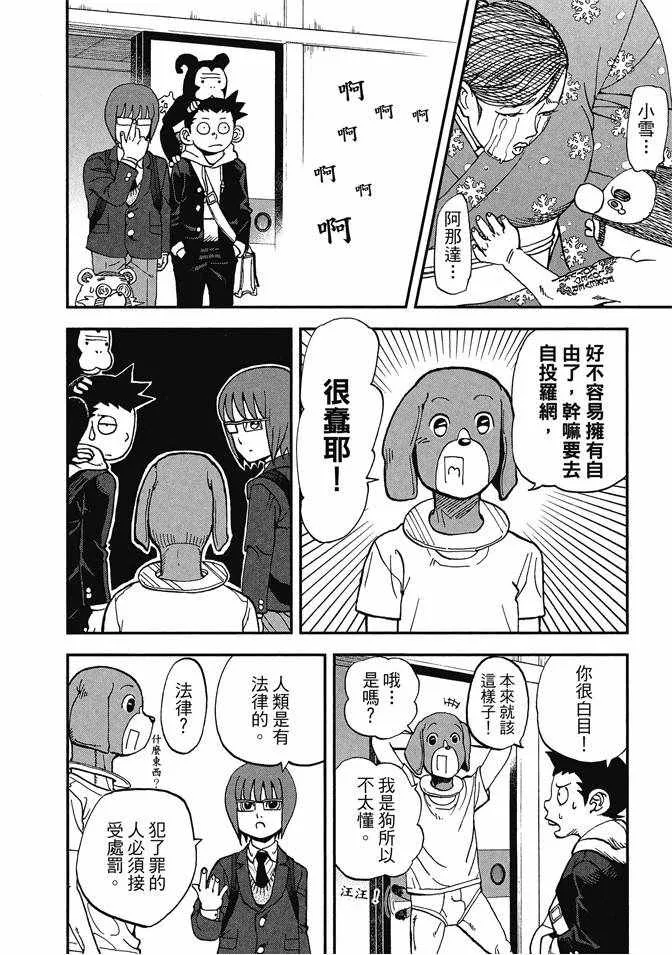 第13卷 第166页
