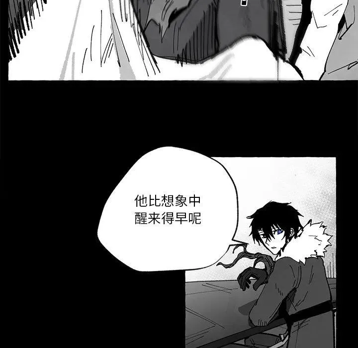 56 第31页