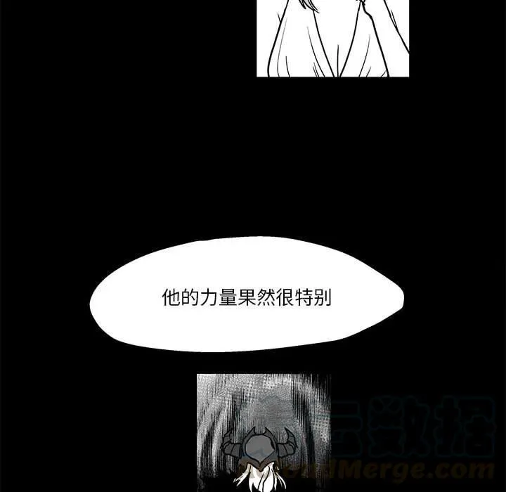 43 第101页