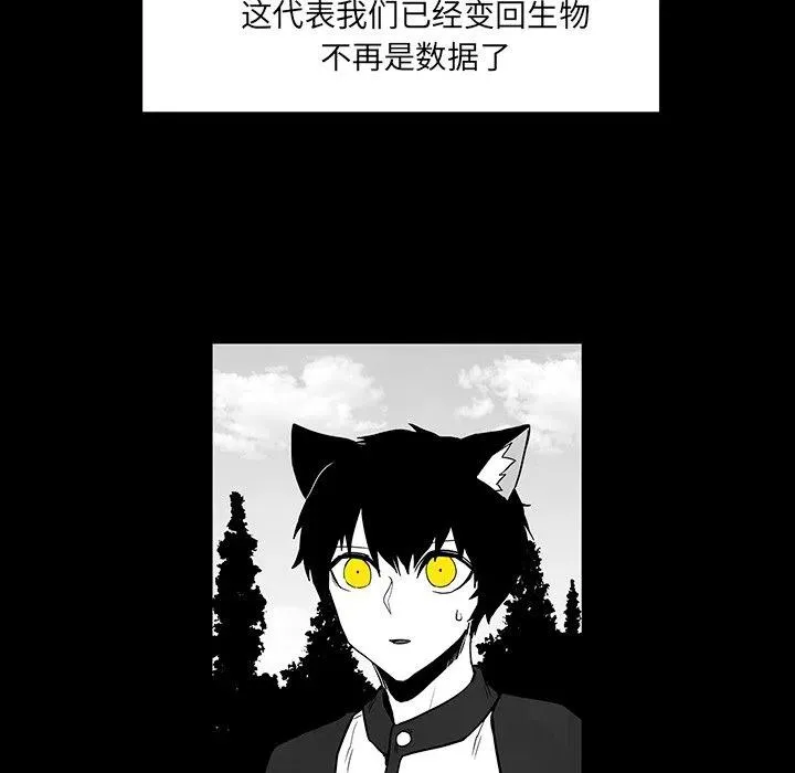 41 第17页