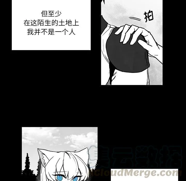 41 第19页