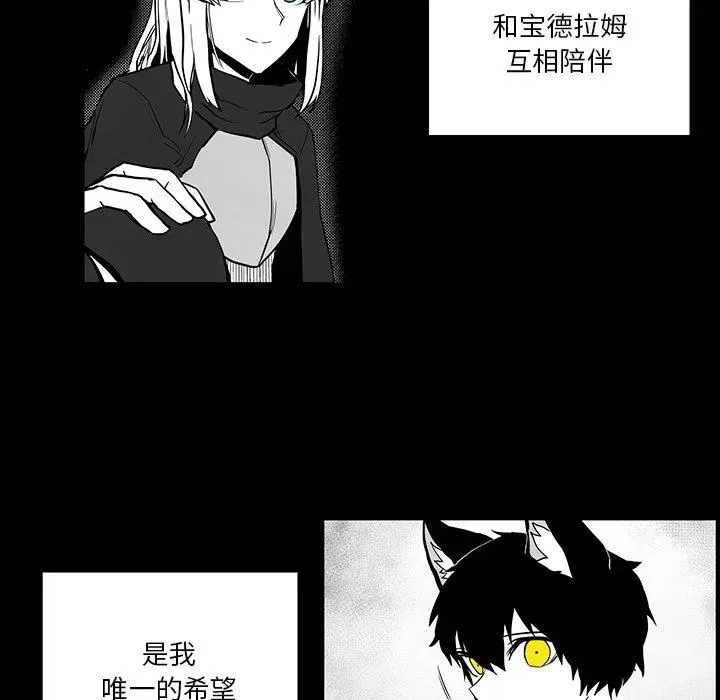41 第20页