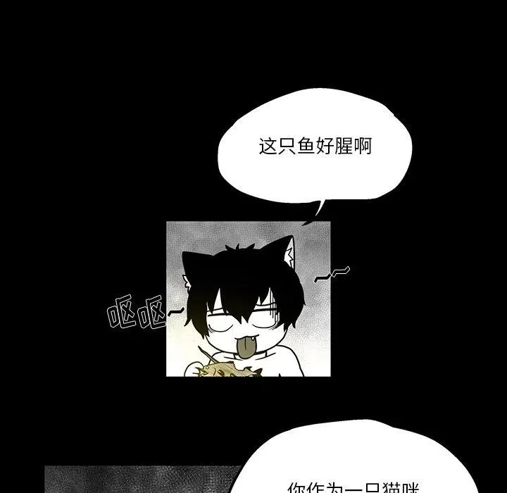 41 第33页