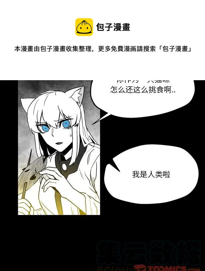 41 第34页