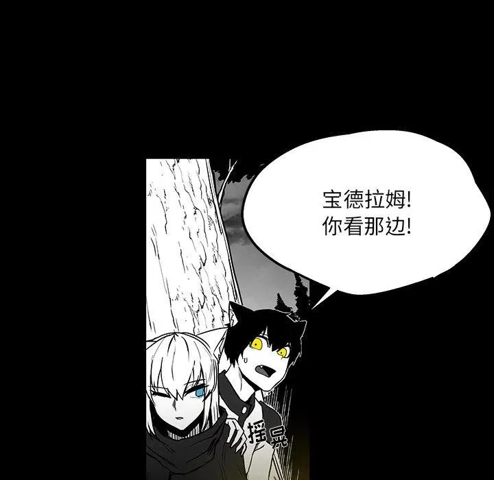 41 第41页
