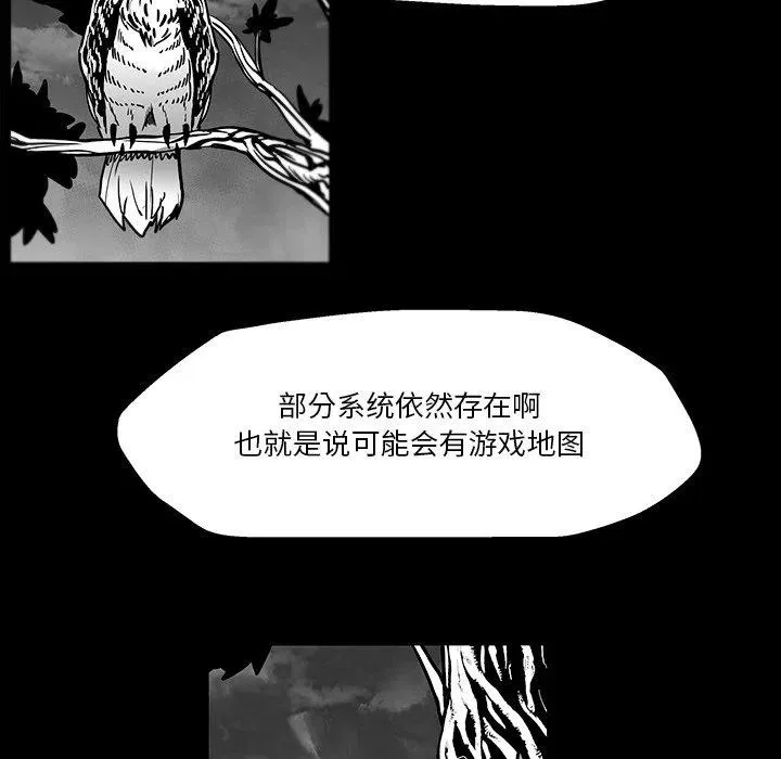 41 第51页